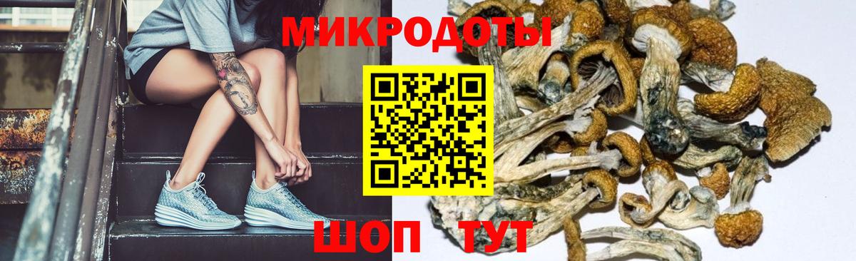 Псилоцибиновые грибы мицелий Чебаркуль